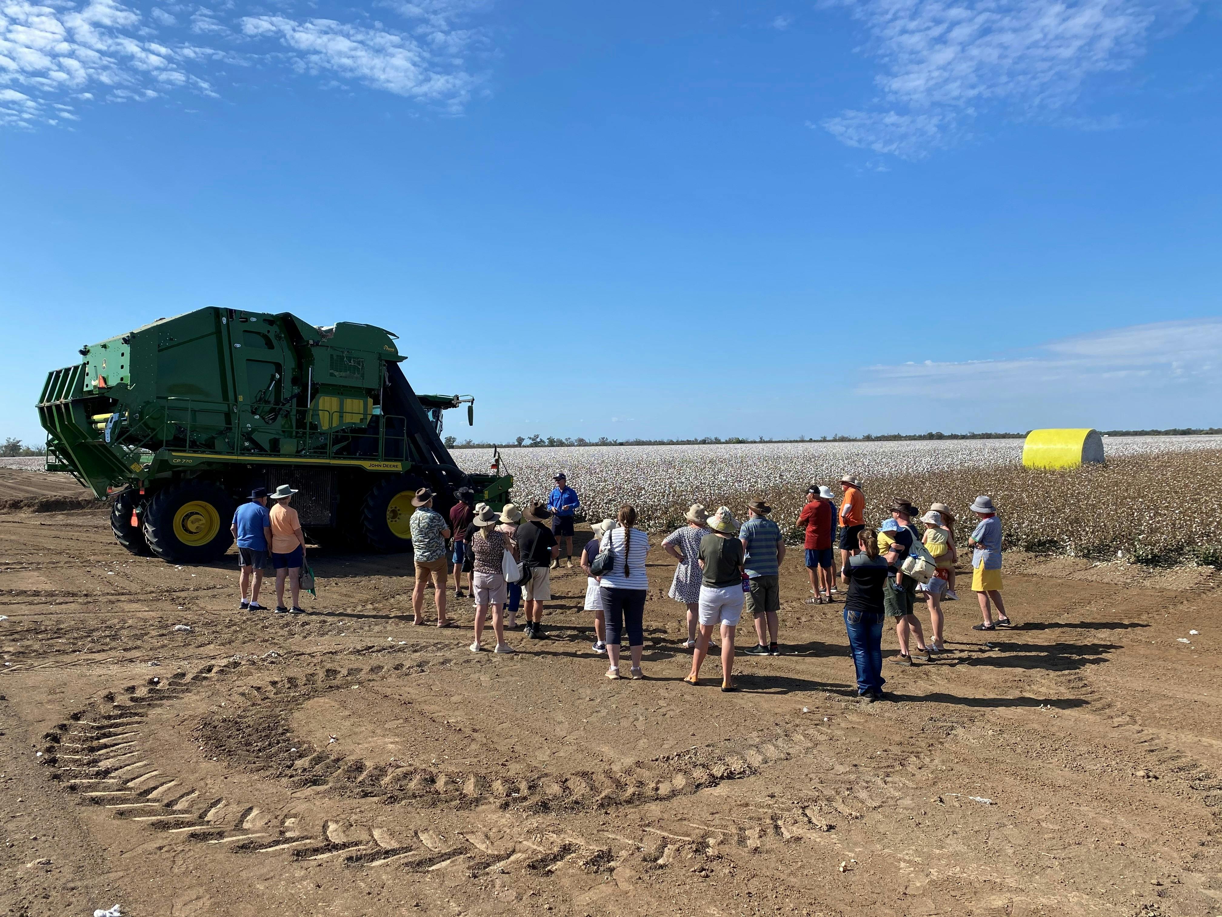 Cotton and Vineyard Tour