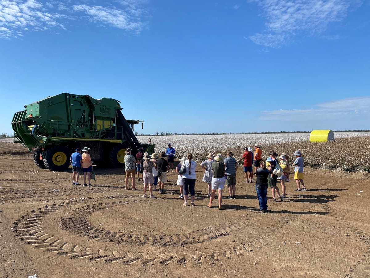 Cotton and Vineyard Tour