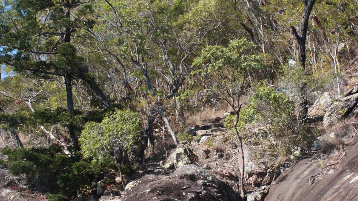 Nara Inlet view from the water, close to rocks and steps leading to trees on island