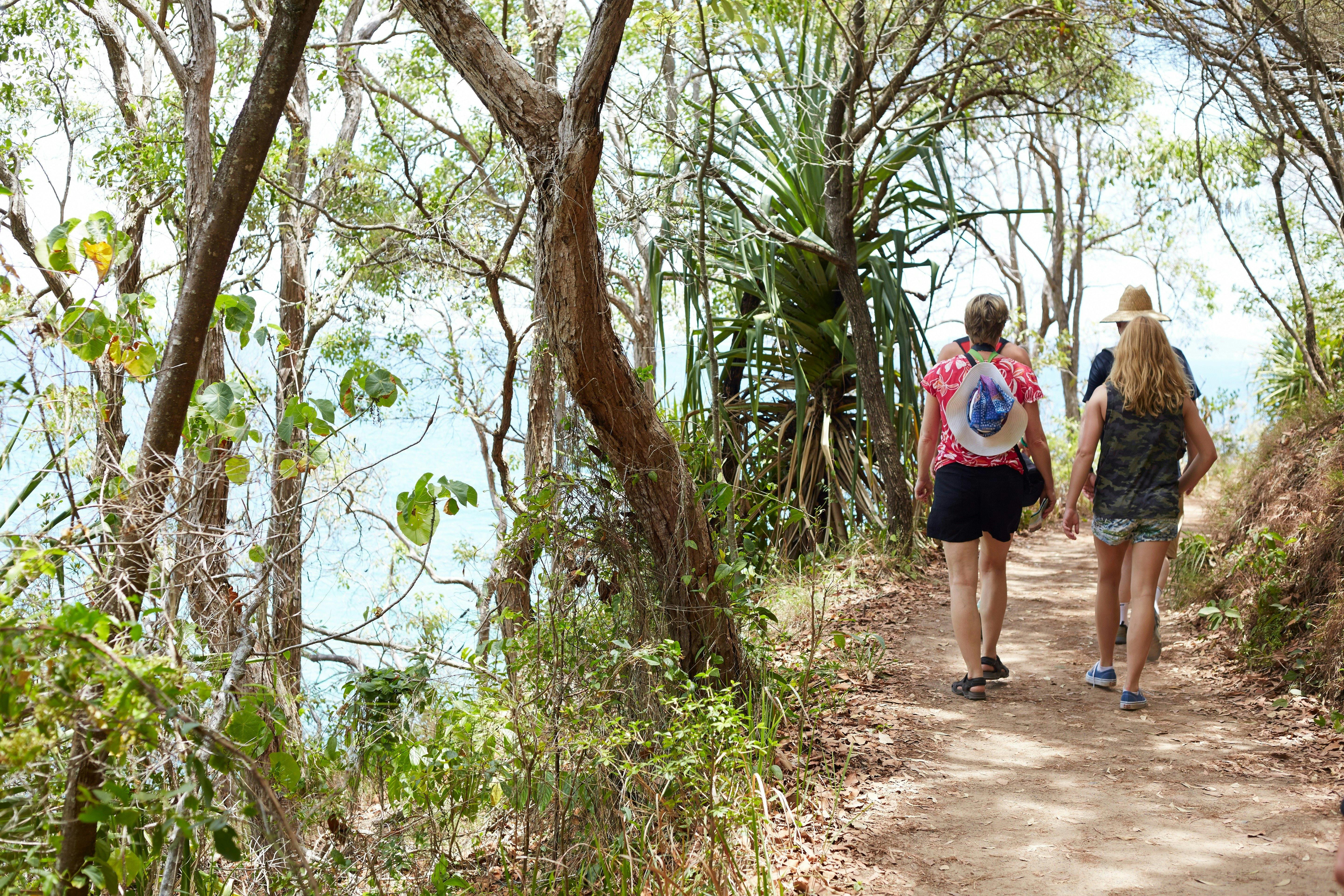 Coastal walk, Noosa National Park