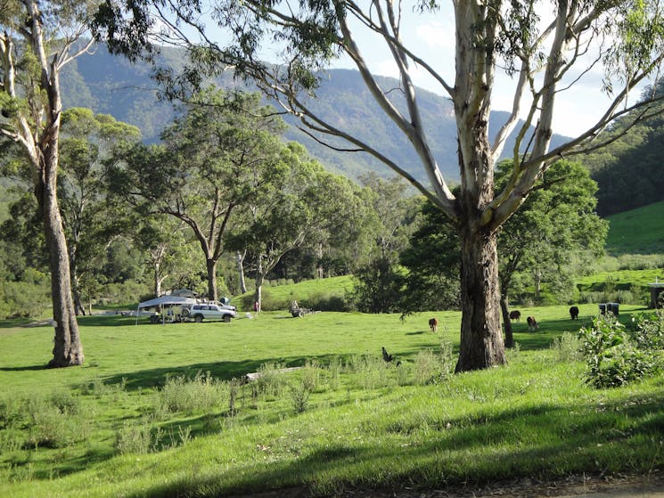 Georges Creek Camping