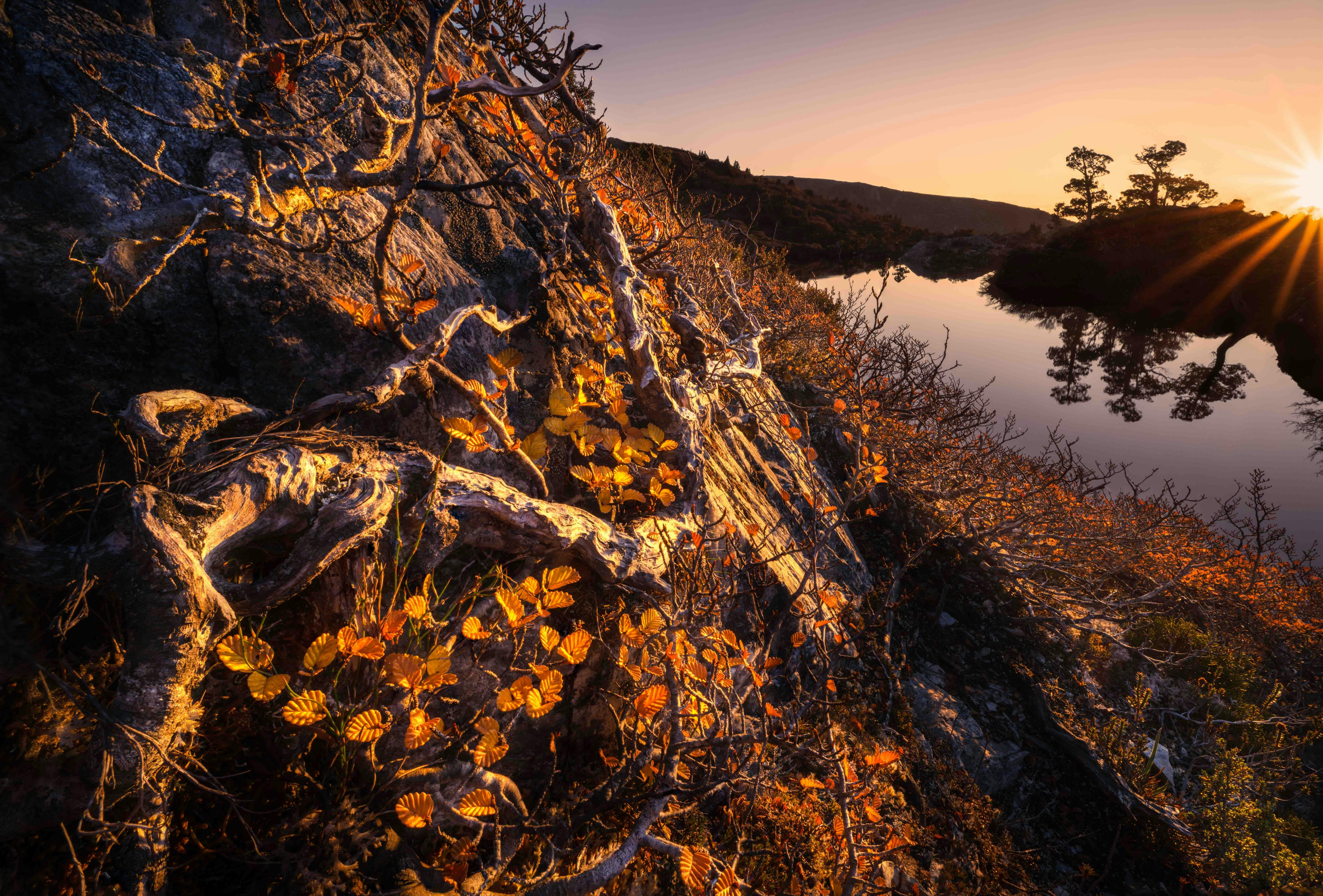 Tasmanian Photography Tours