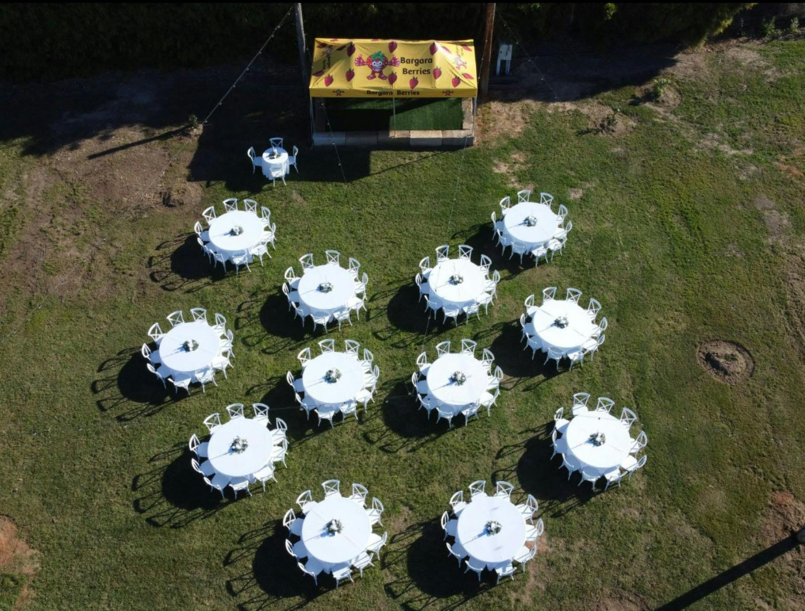 Bargara Berries Long Table Dinner & Music Event