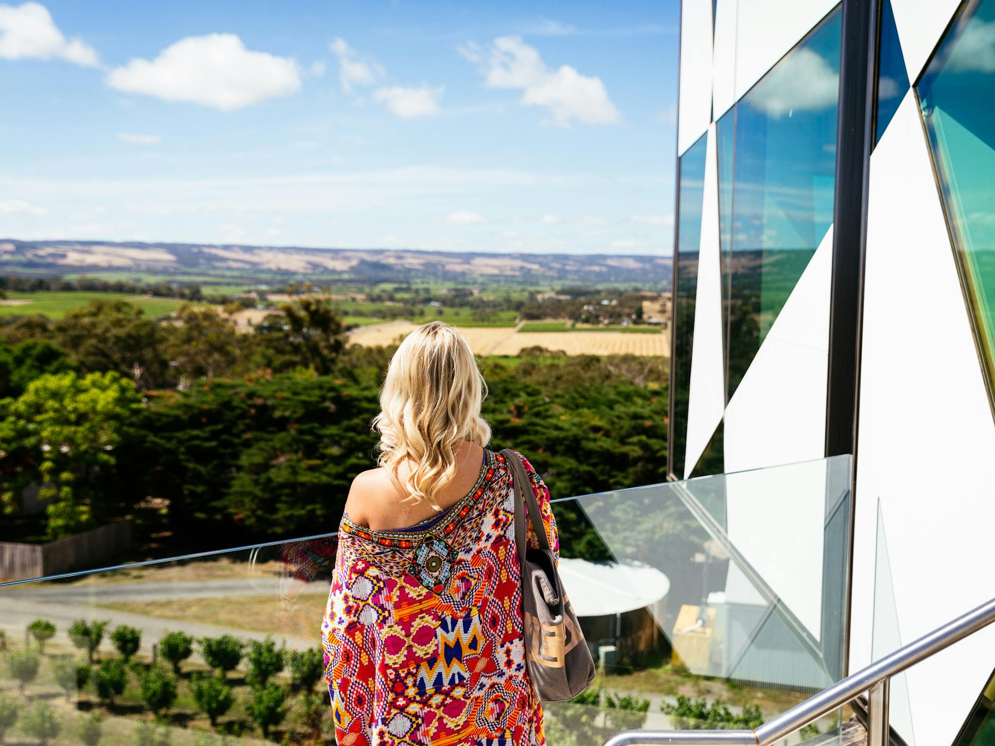 Magnificent views over McLaren Vale from the top floor of the d'Arenberg Cube