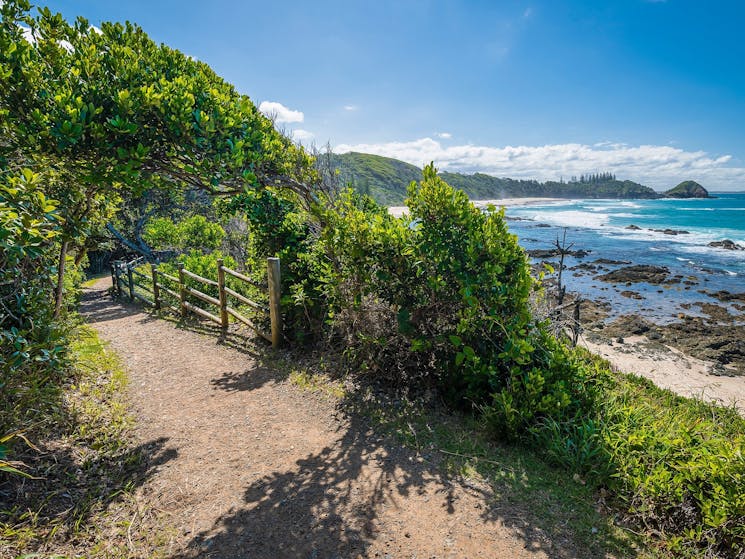 Shelly Beach Coastal Walk