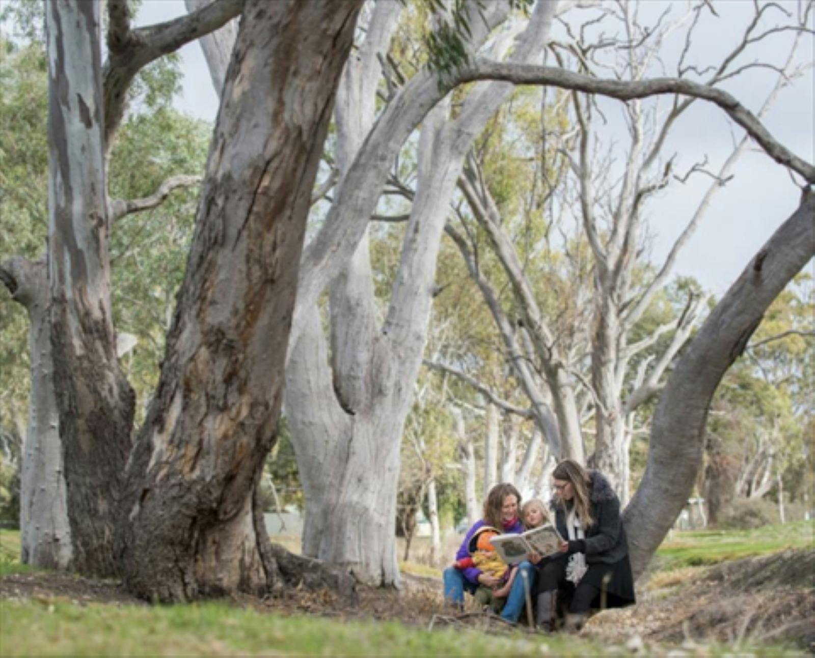 Trees Family reading