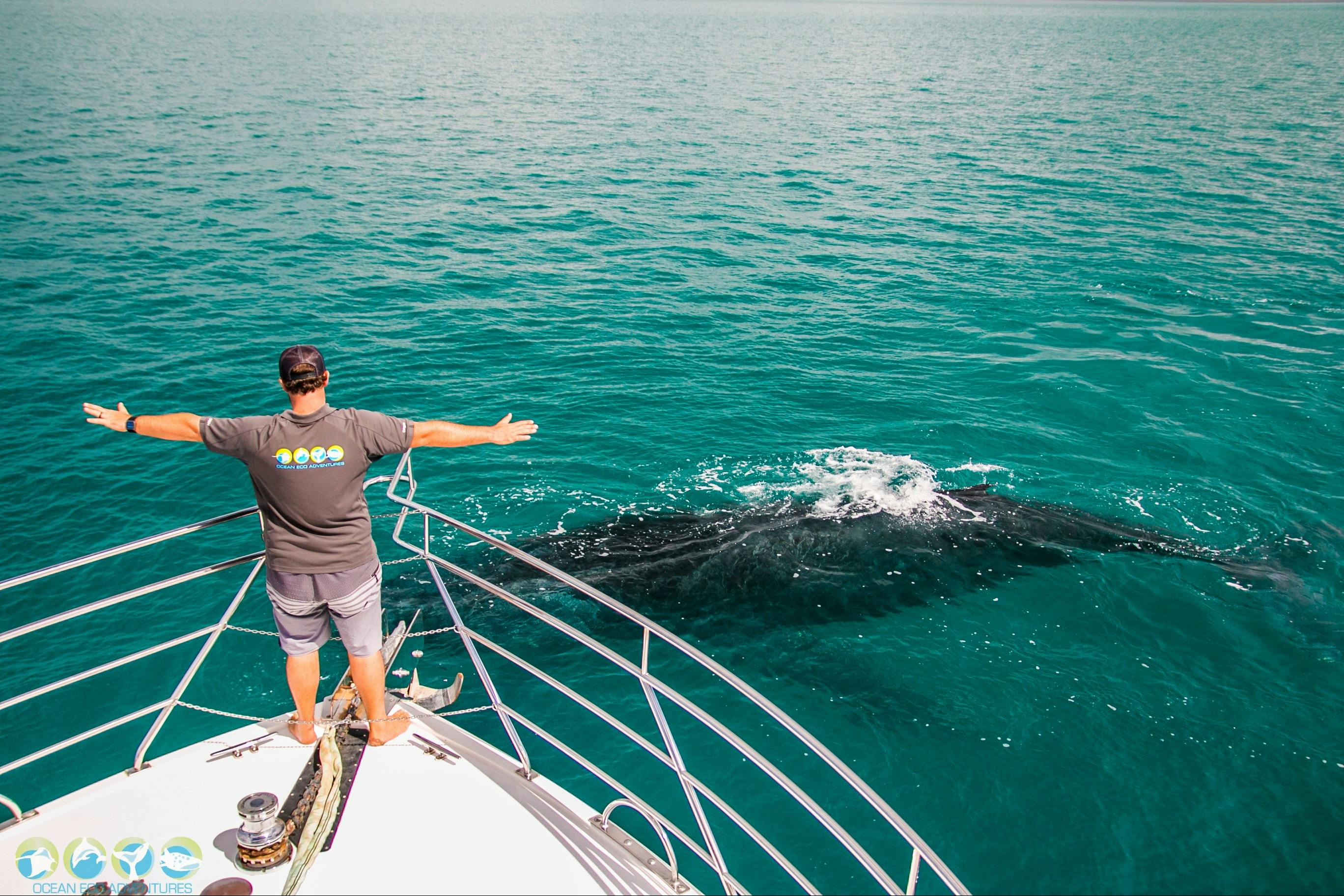 Ocean Eco Adventures, Exmouth, Western Australia