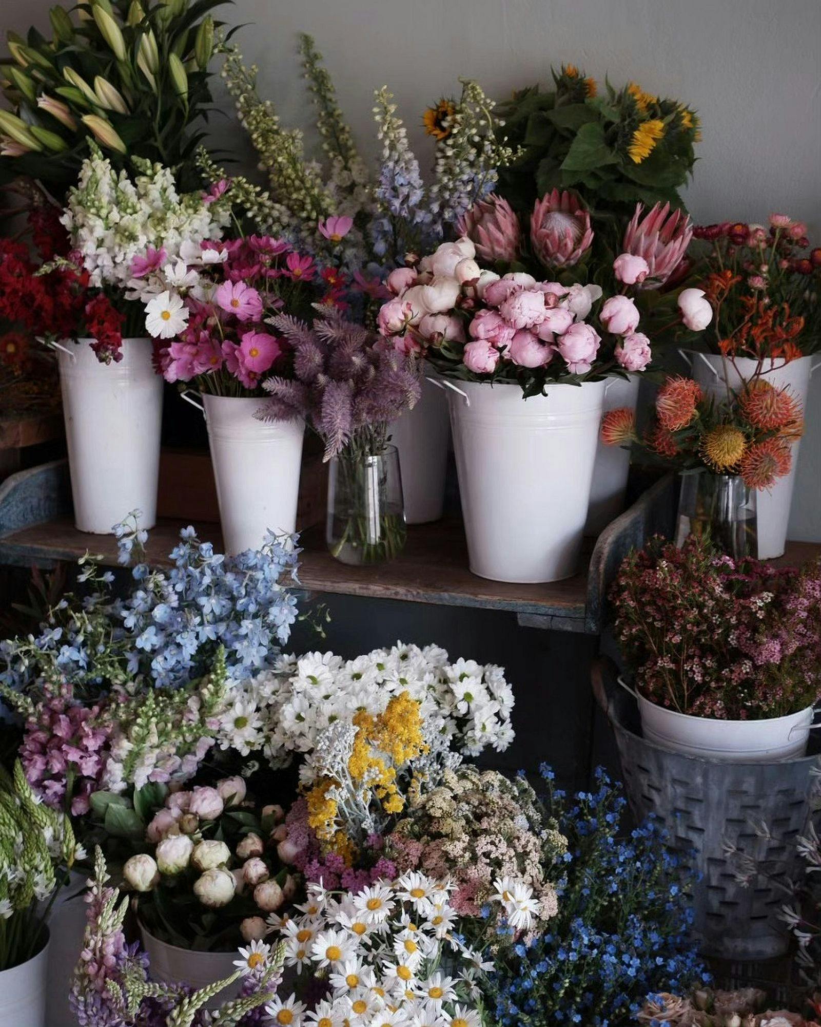 The Flower Shop