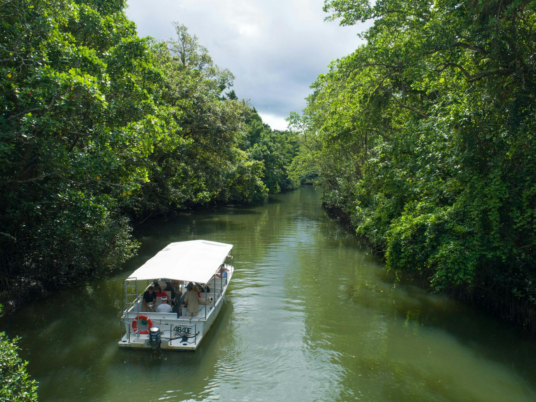Daintree River Cruise