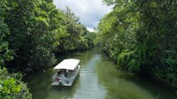 Daintree River Cruise