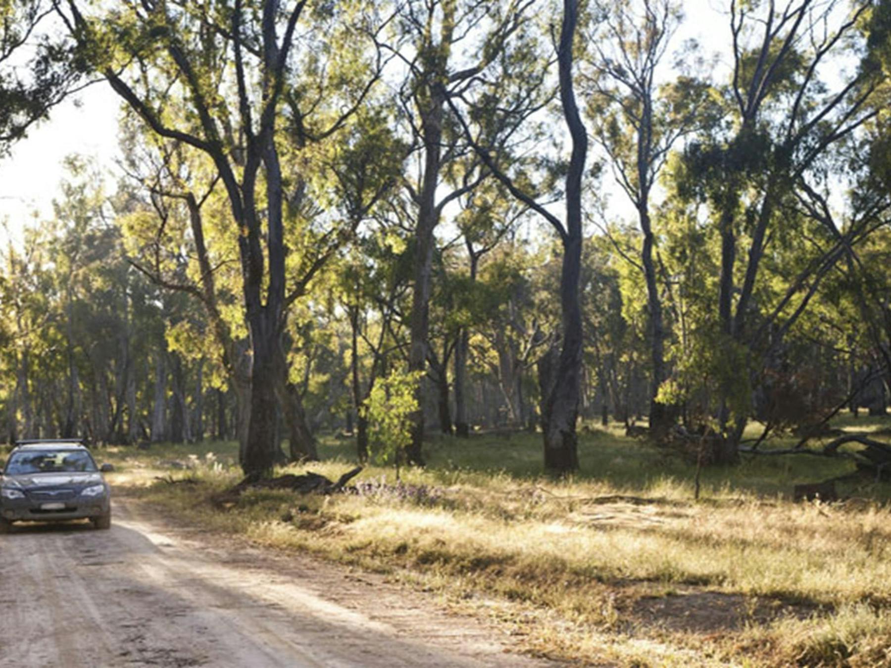 Car touring, Murray Valley National Park. Photo: David Finnegan © DPIE