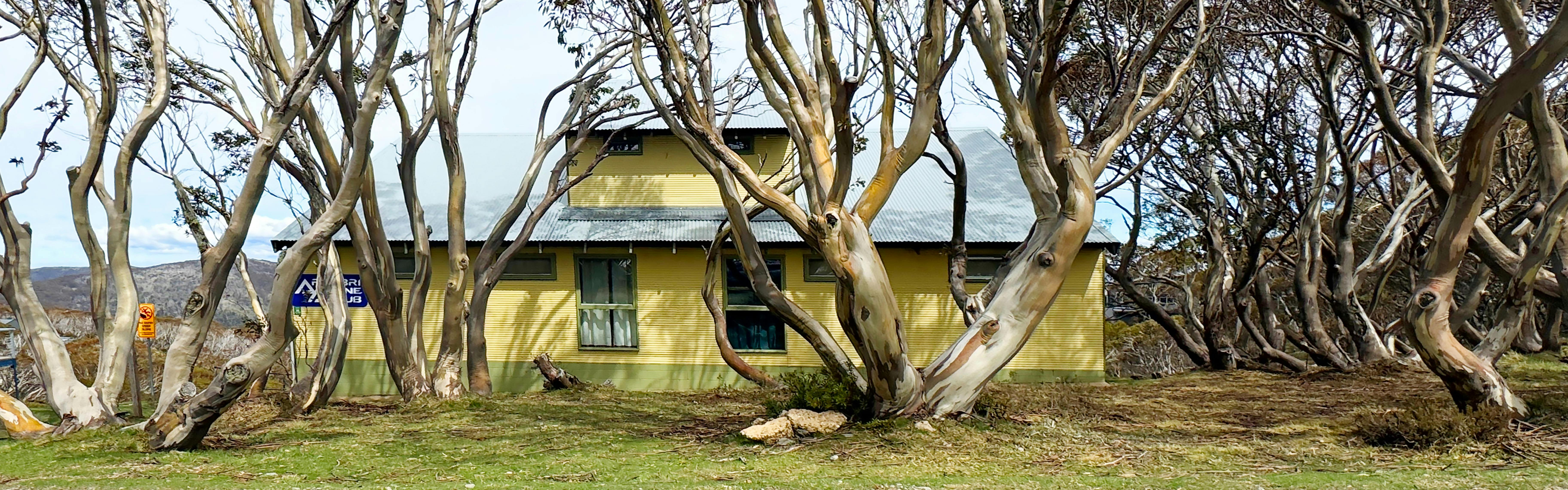 Arrabri Alpine Lodge Summer