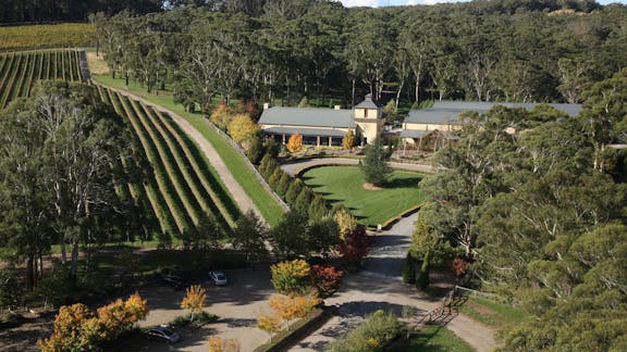 Centennial Vineyards