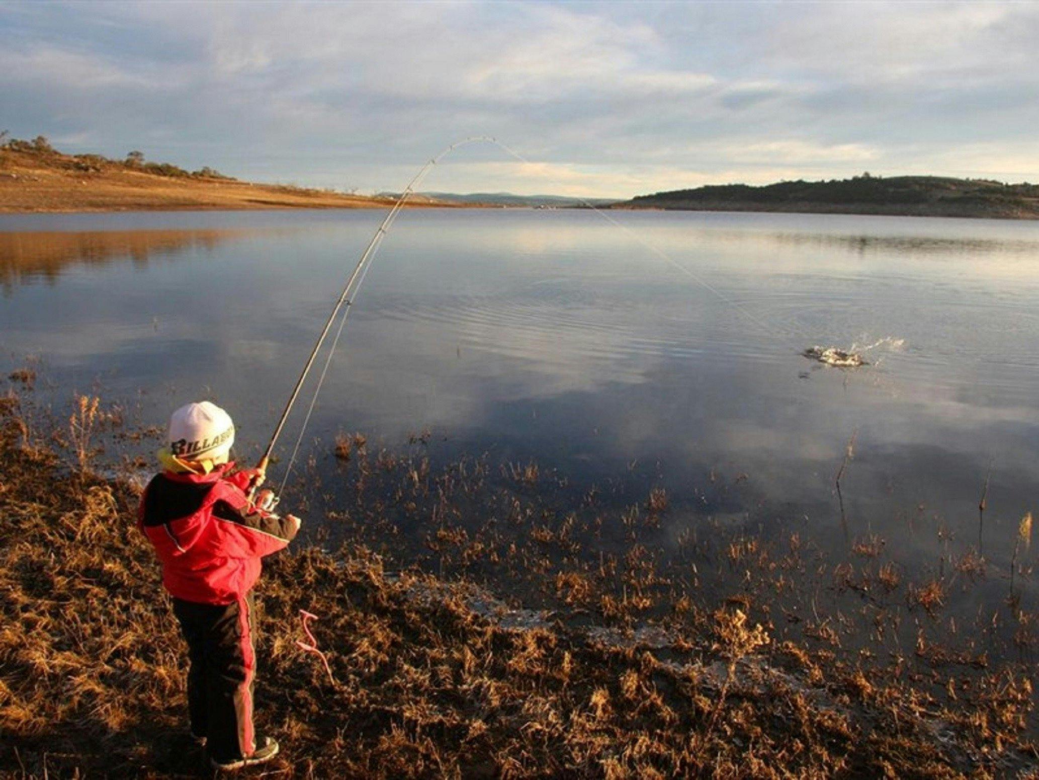 Buckenderra Holiday Village