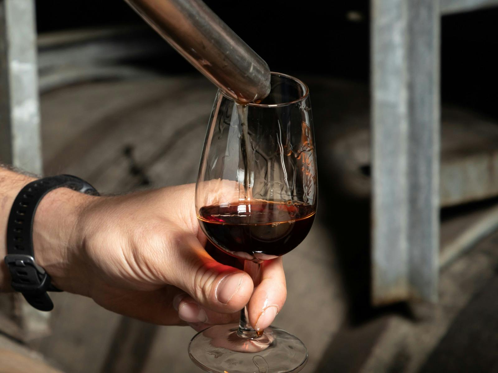 Hand holding a glass of fortified wine in the Woodstock cellar