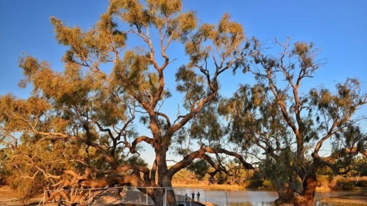 Cullyamurra Waterhole