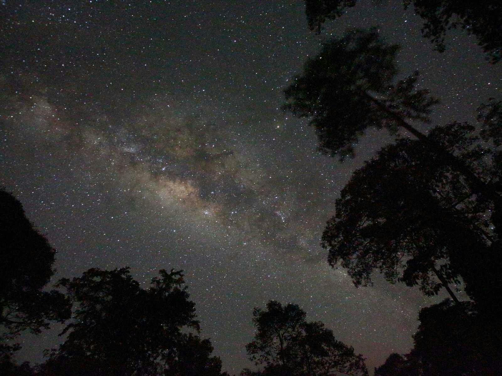 star gazing
