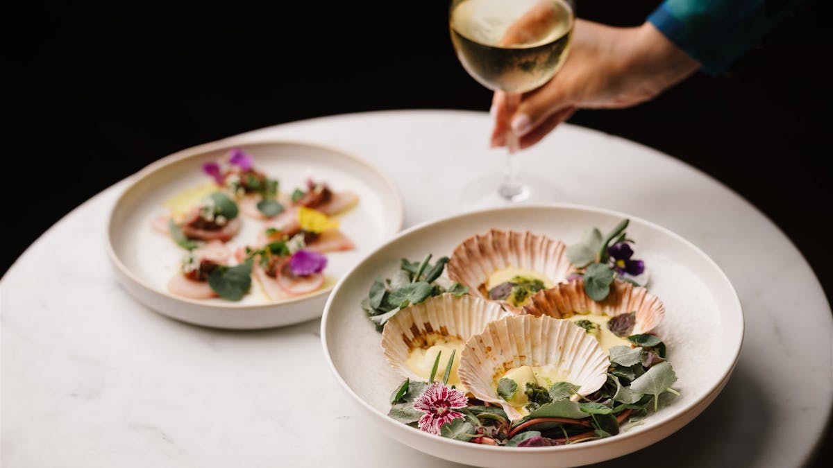 Luxury Seafood: Scallops & Kingfish at Latitude 27 Kitchen