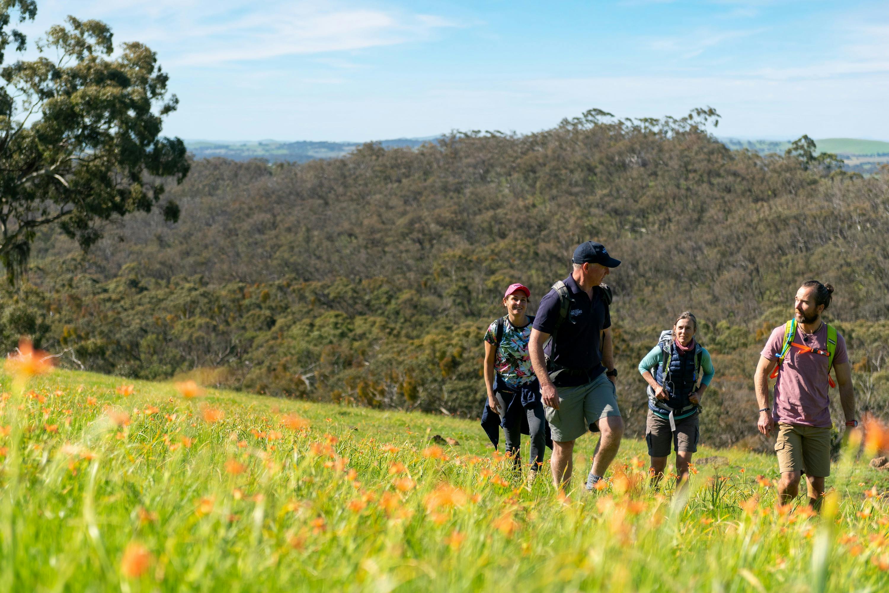 5 Day Clare Valley Wine & Wilderness Trail