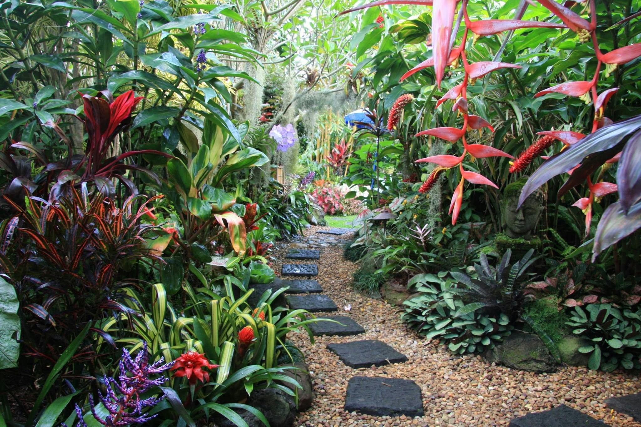 Dennis Hundscheidt private garden