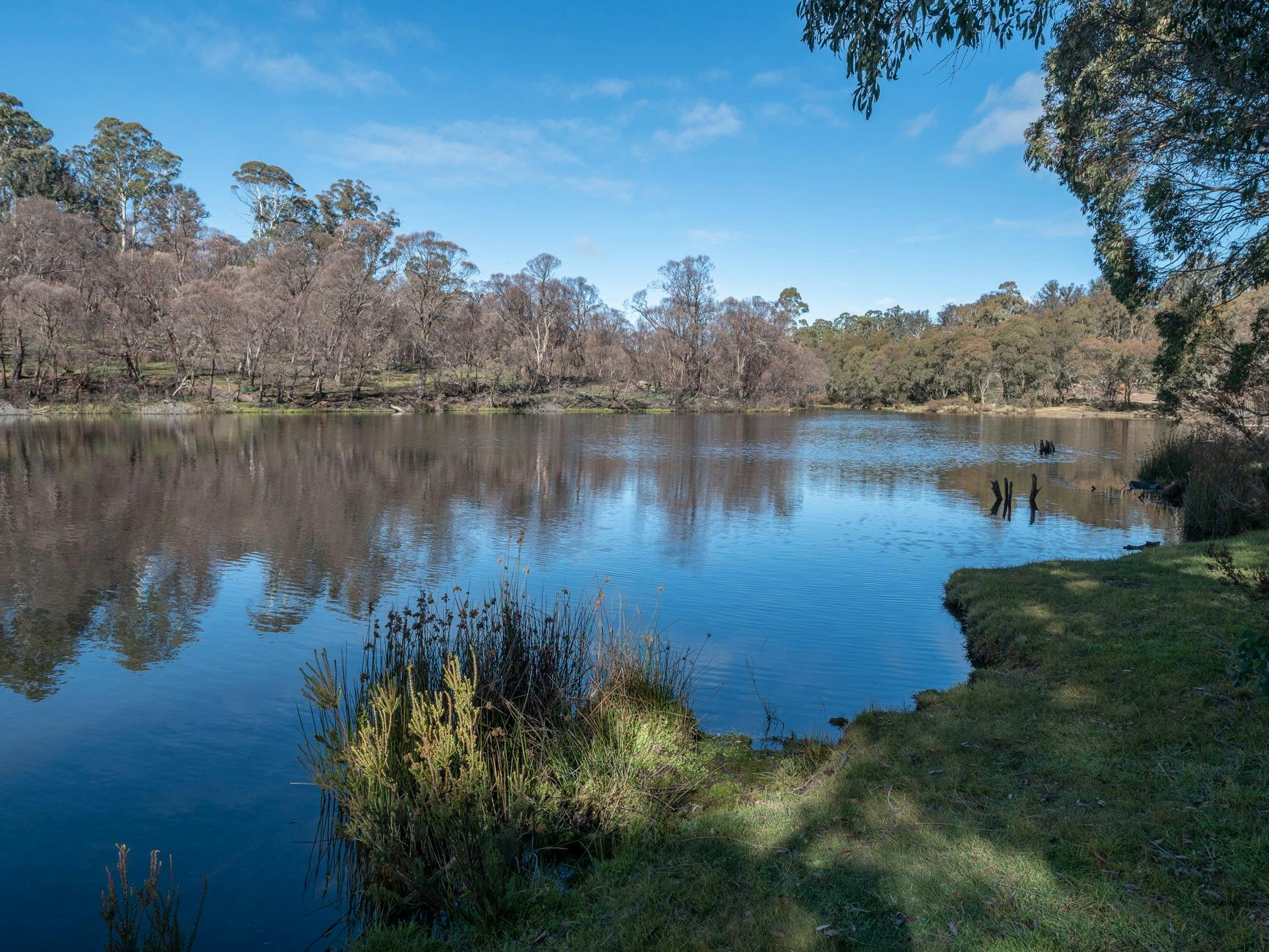 Reflections on Paddys River Dam