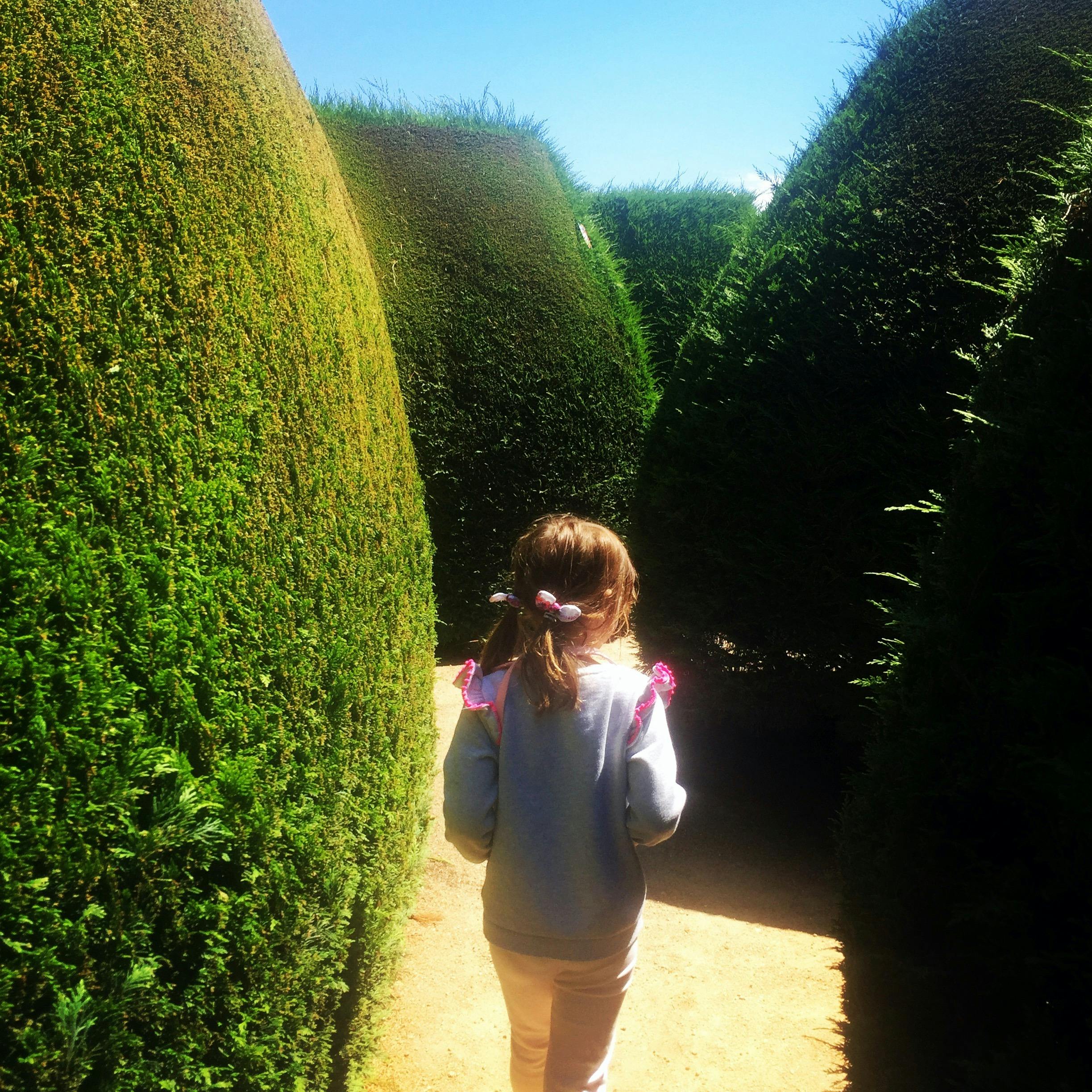 Zoe in maze