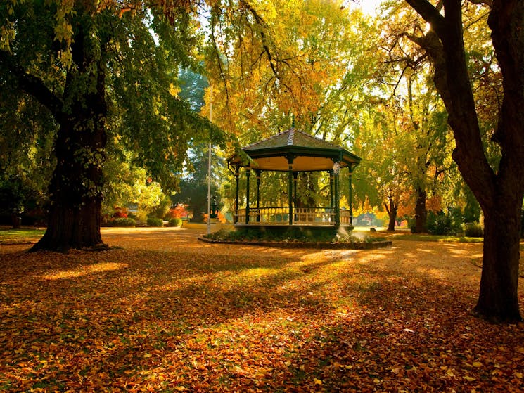 Rotunda, Cook Park, Autumn