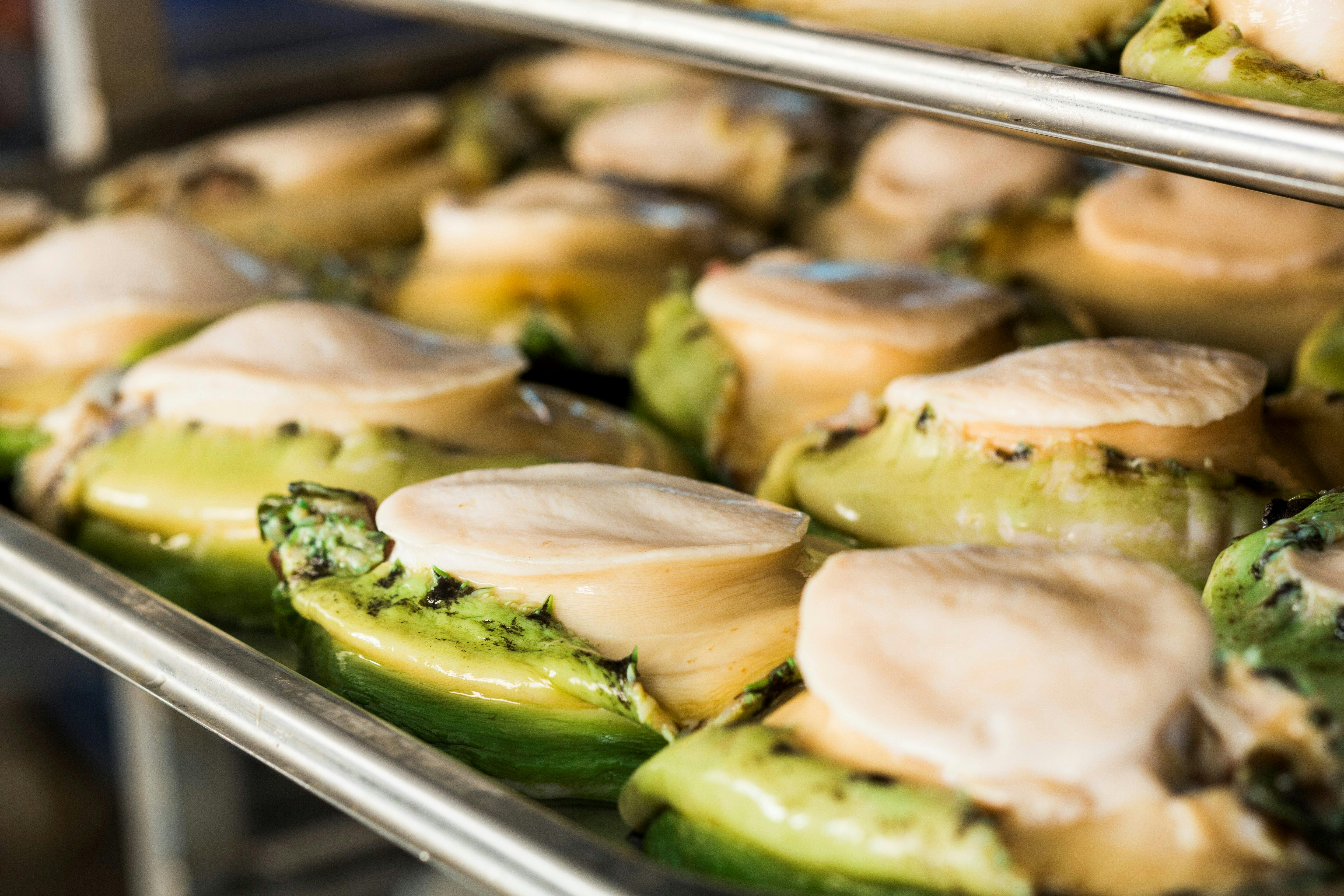Wild Caught Greenlip Abalone