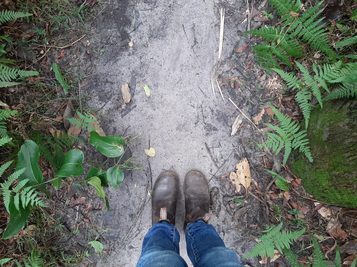 Nature Connection Walk at Alex Forest