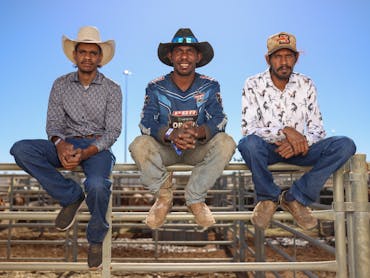 Three men sitting on a fence