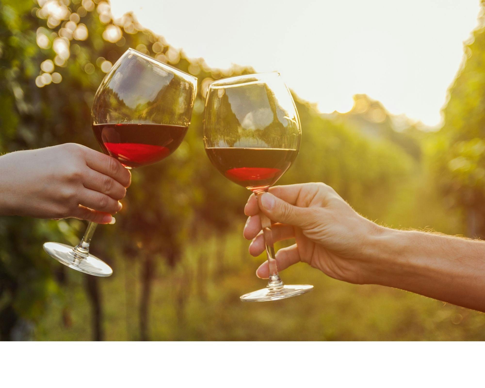 Let us customise a Grape Escape wine tour for you.