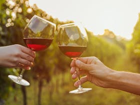 Grape Escapes Canberra Luxury Wine Tours