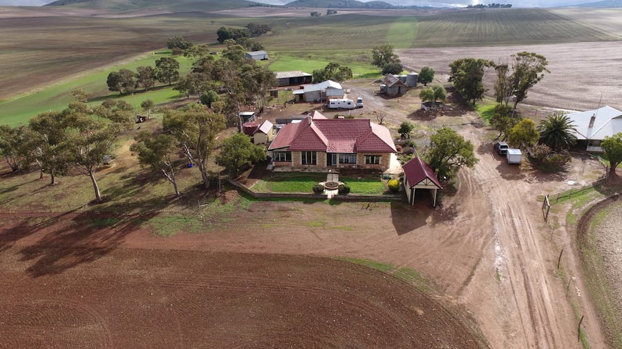 Ossies Homestead Farmstay