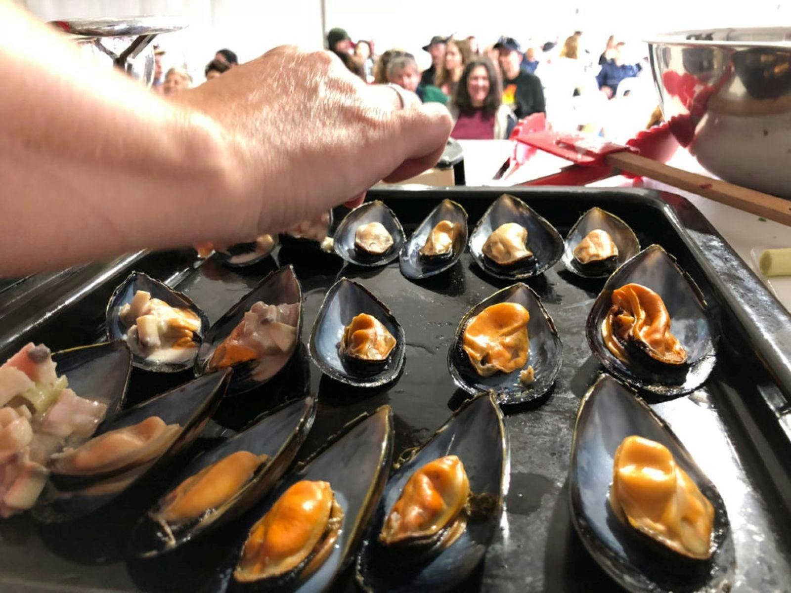 Tray of mussels in shells