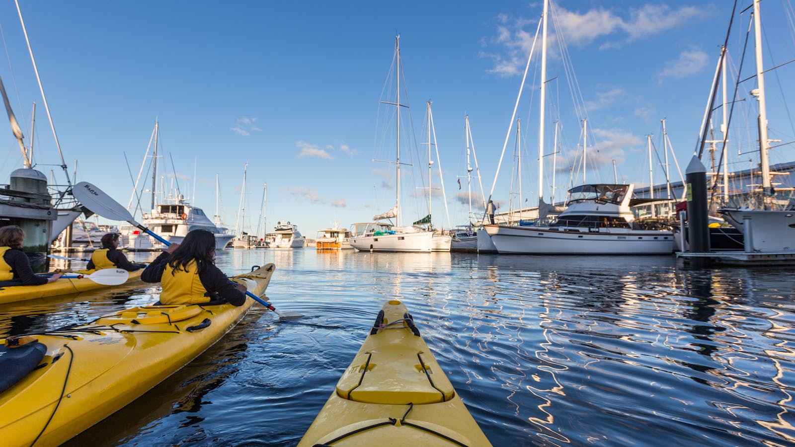 Kayakers in the Hobart Docks