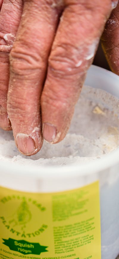 All round heavy duty eucalyptus cleaner