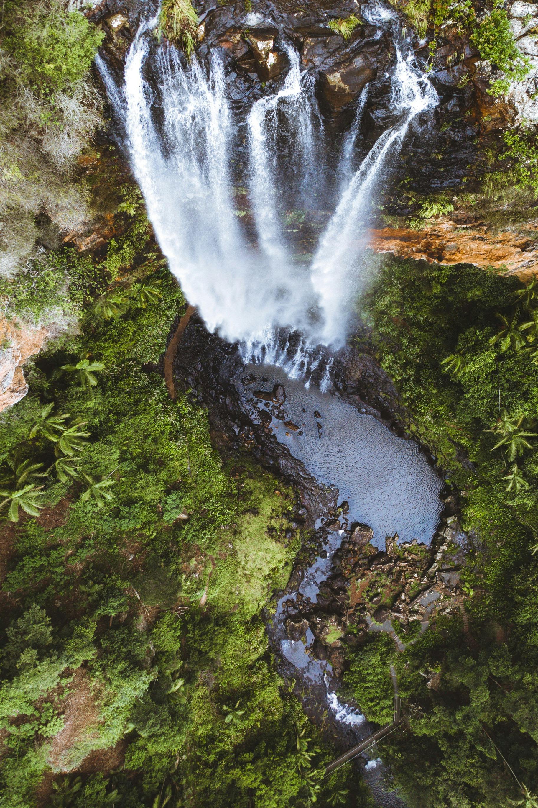Super 7 Waterfalls and Natural Bridge Tour at Springbrook National Park