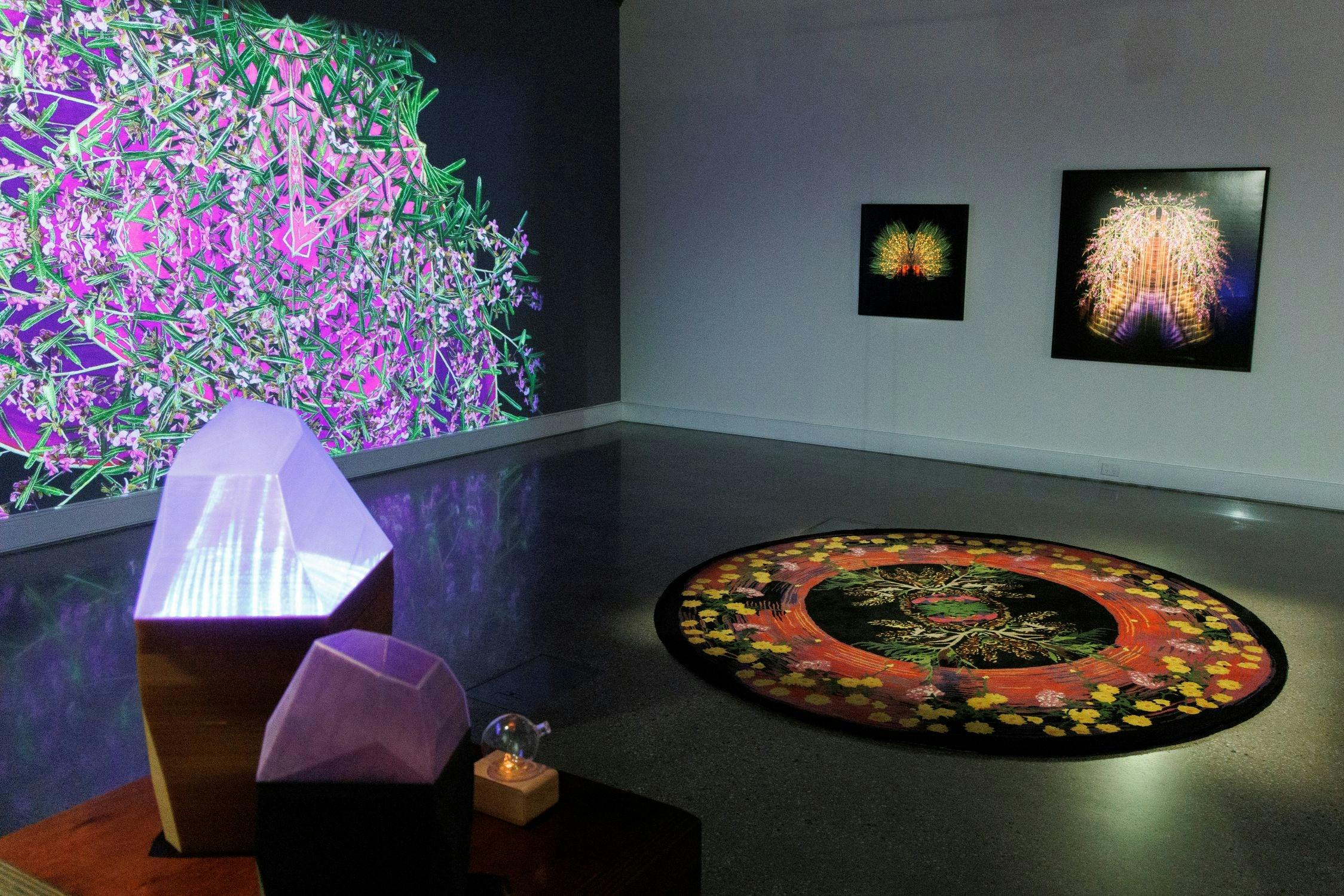 卡拉-安·辛普森的“Furare Flores”展览装置图