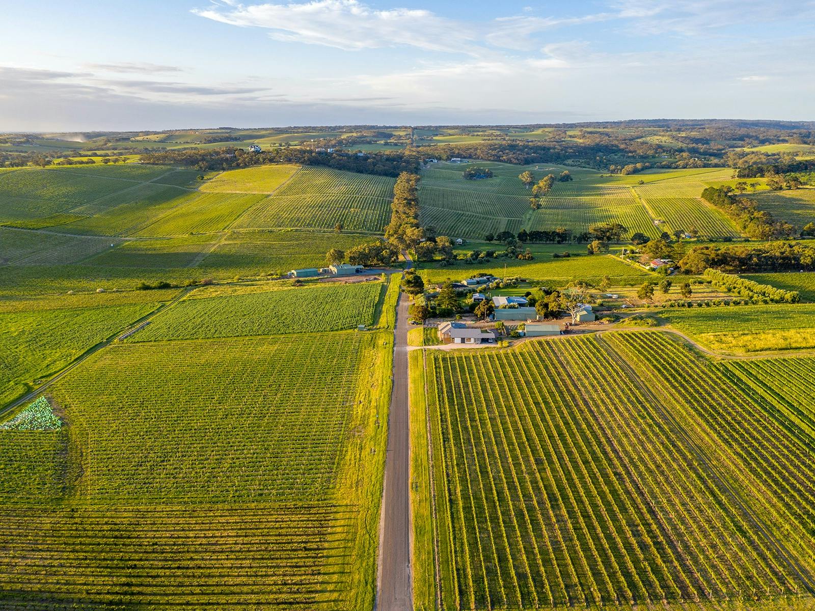 Bondar Wines McLaren Vale