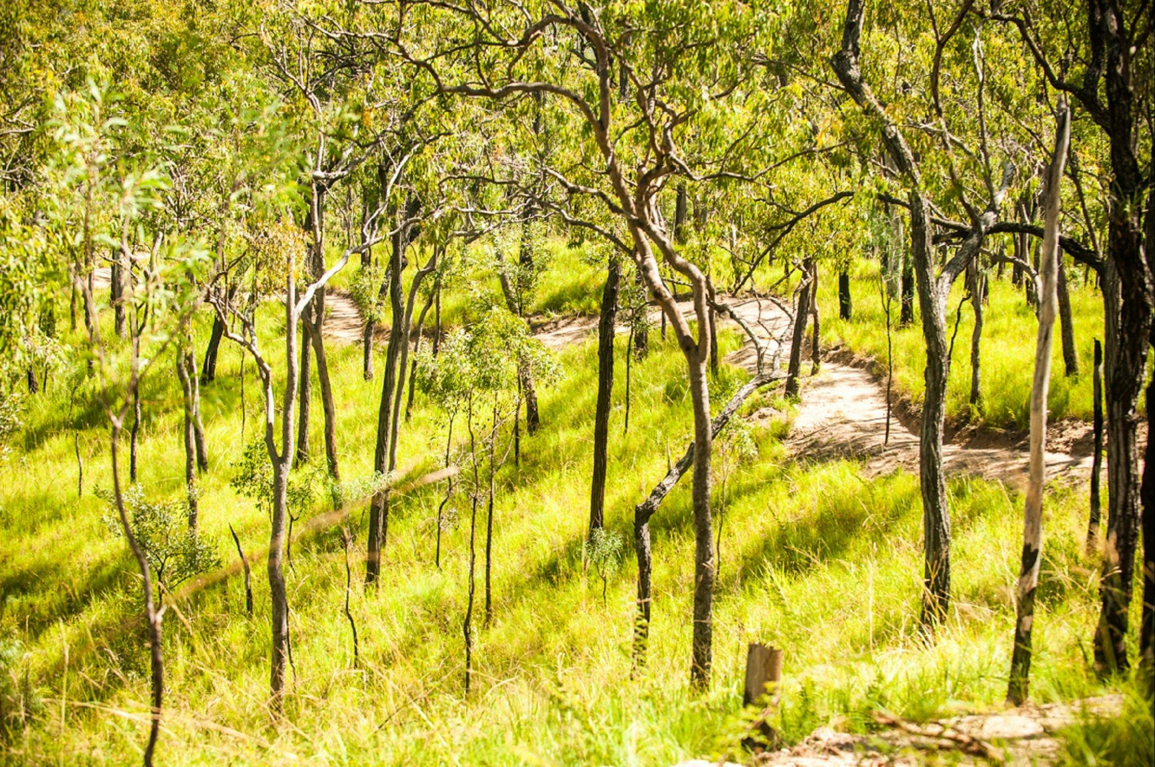 davies creek mountain bike park