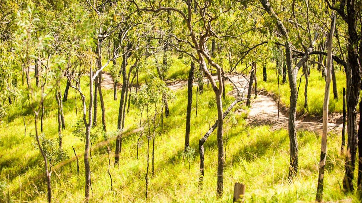 Davies Creek Mountain Bike Park