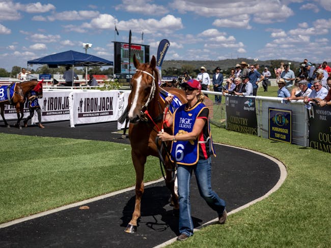 Country Championships