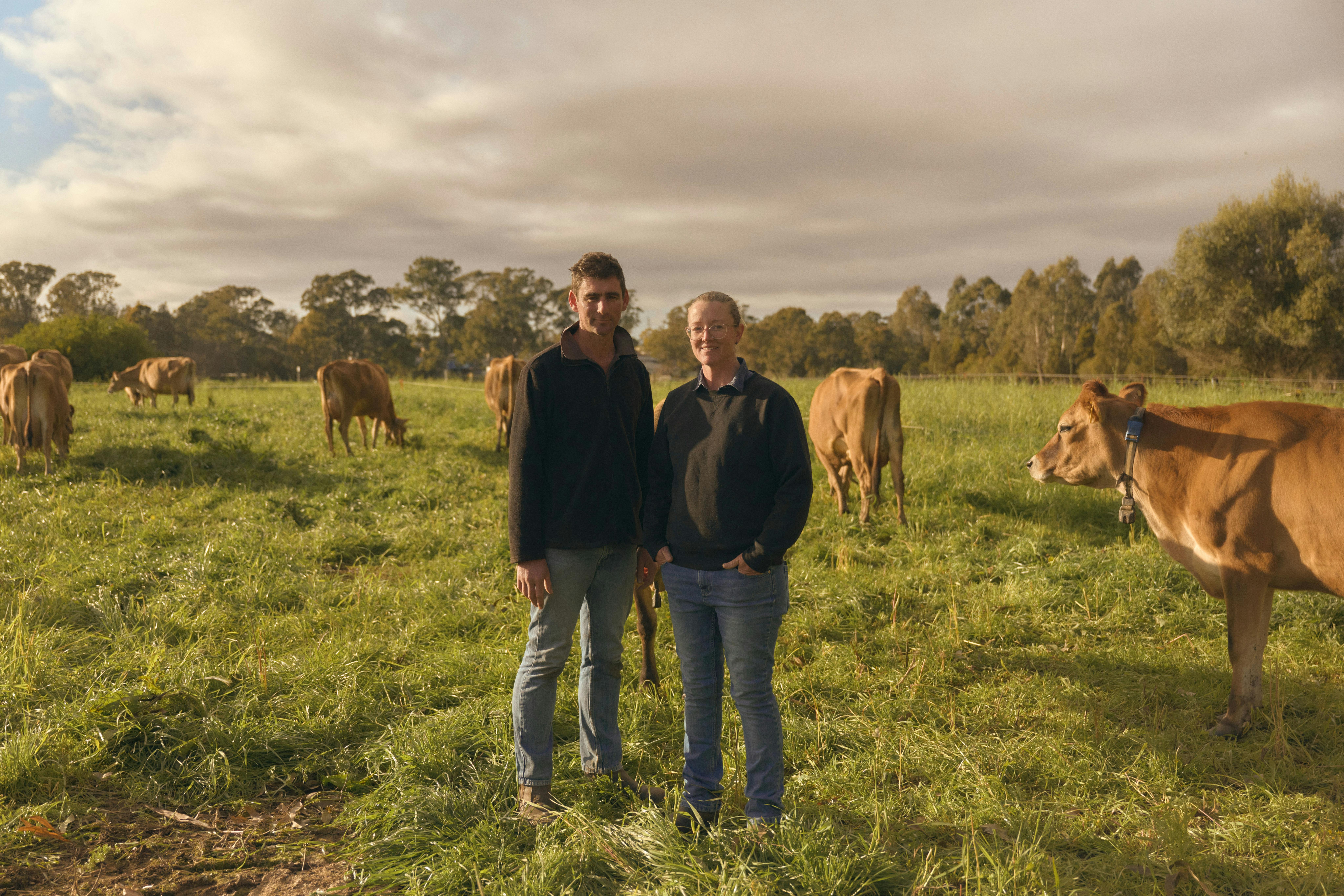 Dairy - Camden Valley Farm