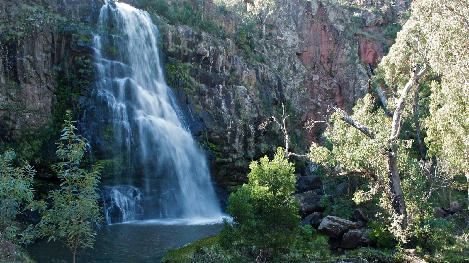 Snowy River National Park