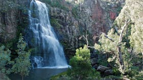 Snowy River National Park