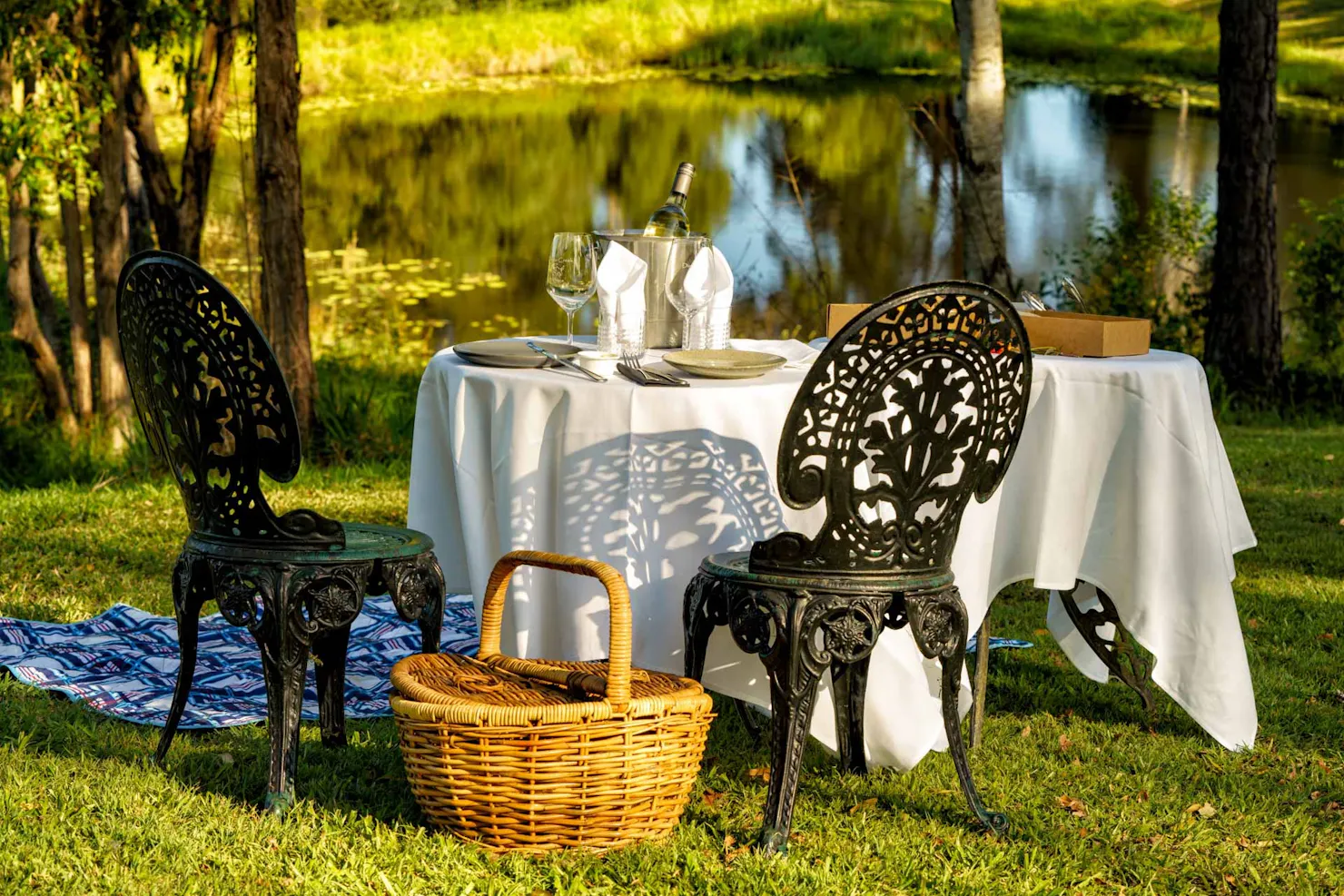 picnic in the vines