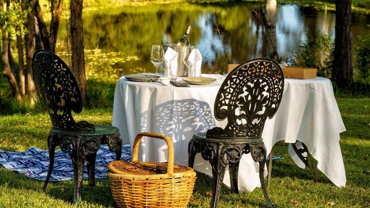 picnic in the vines