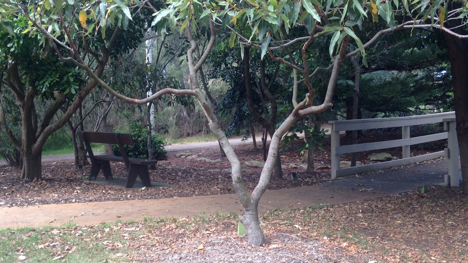 Sensory Gardens