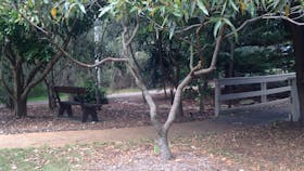Sensory Gardens