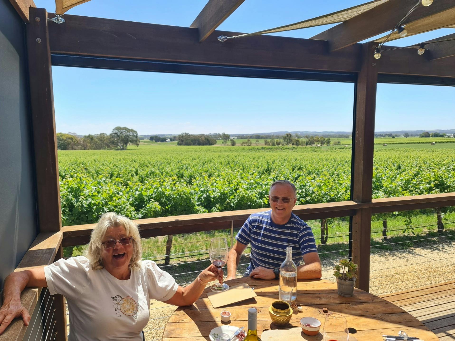 Customers enjoying lunch overlooking vineyards